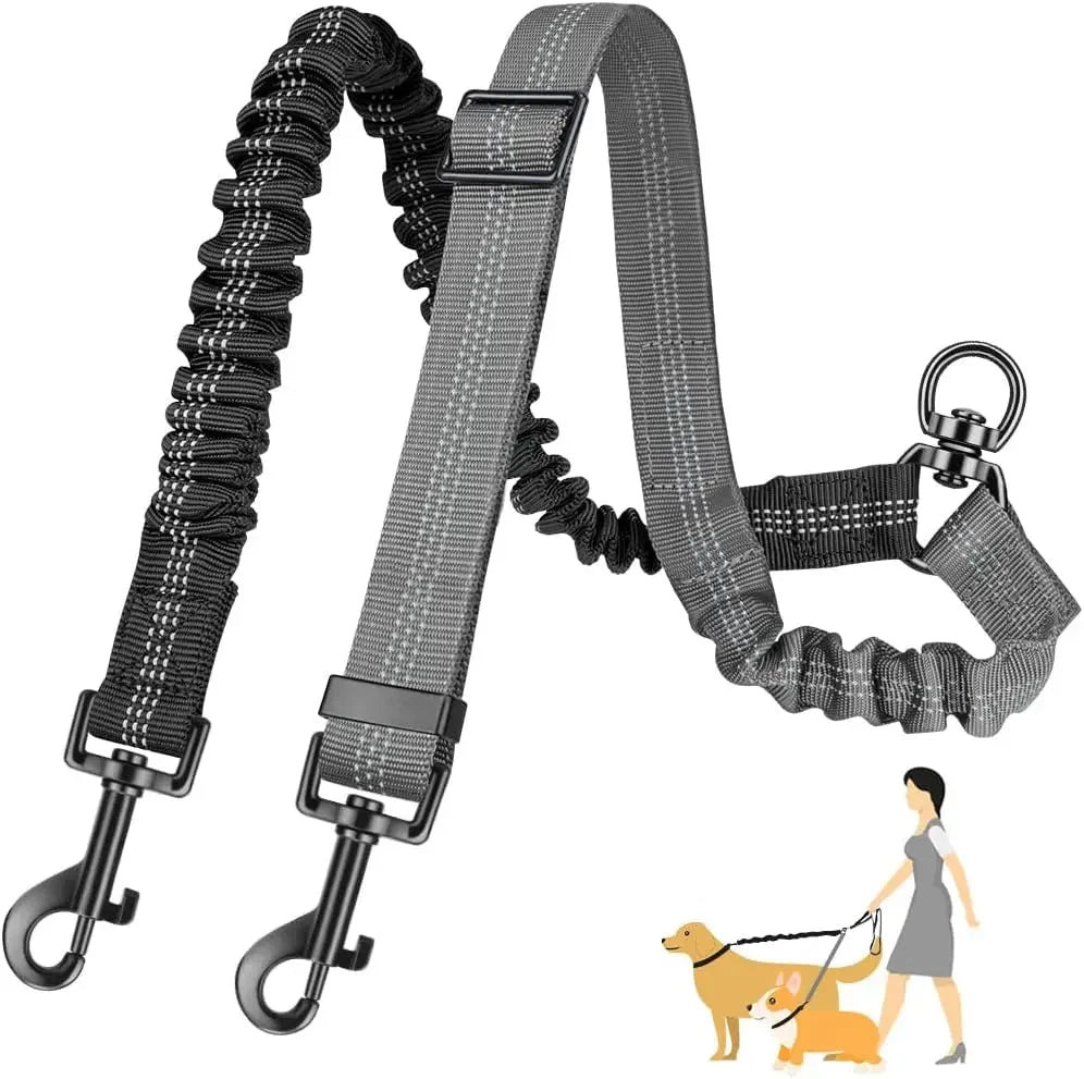 Adjustable Double Dog Leash – StrideSense™