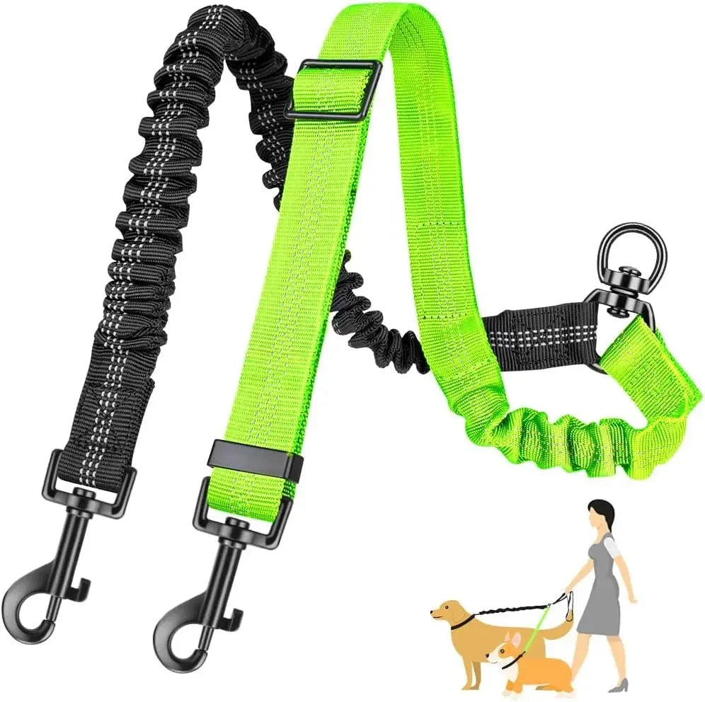 Adjustable Double Dog Leash – StrideSense™