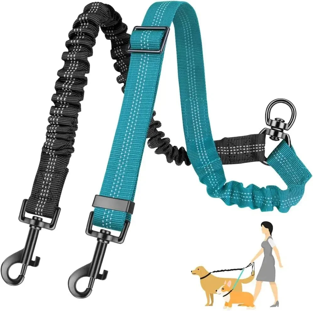 Adjustable Double Dog Leash – StrideSense™