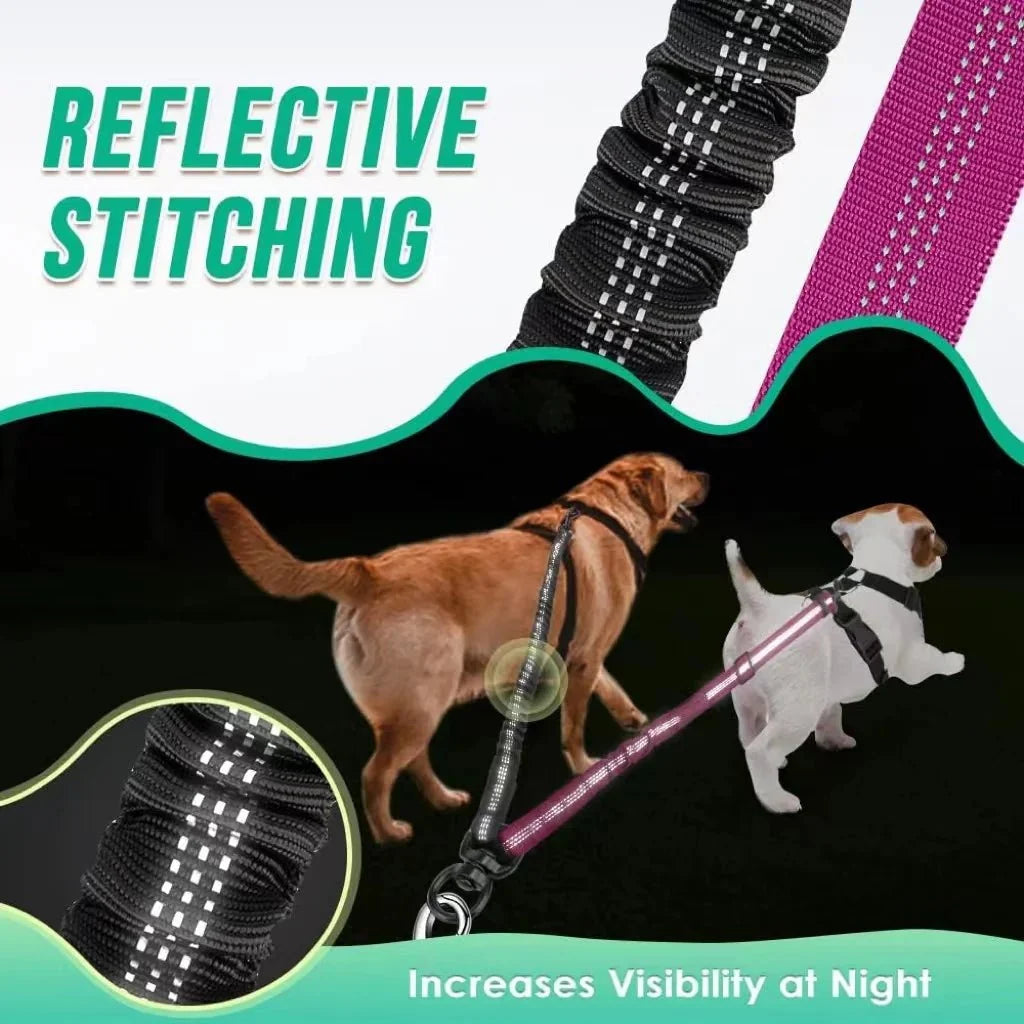 Adjustable Double Dog Leash – StrideSense™