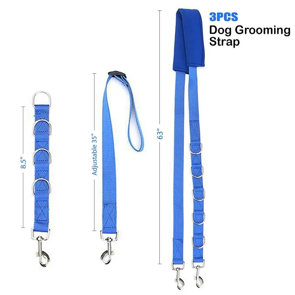 Portable Dog Grooming Restraint Set – TailShield™