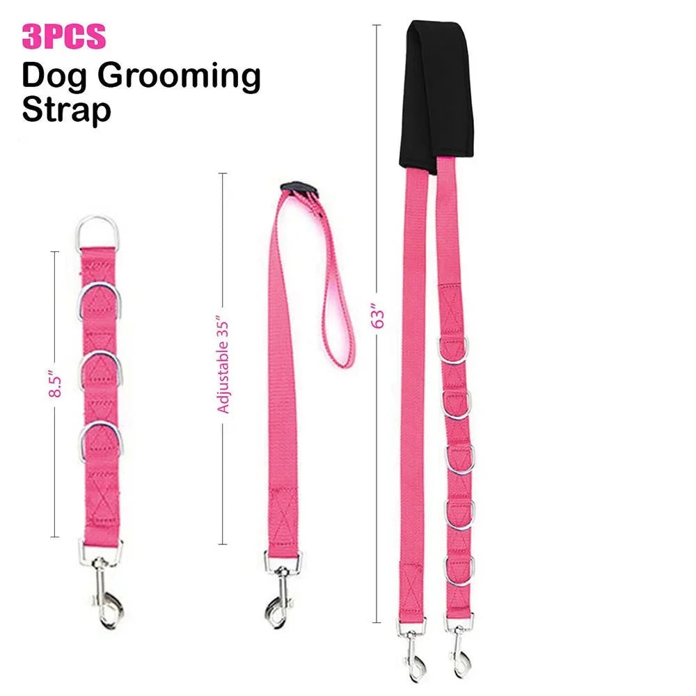 Portable Dog Grooming Restraint Set – TailShield™