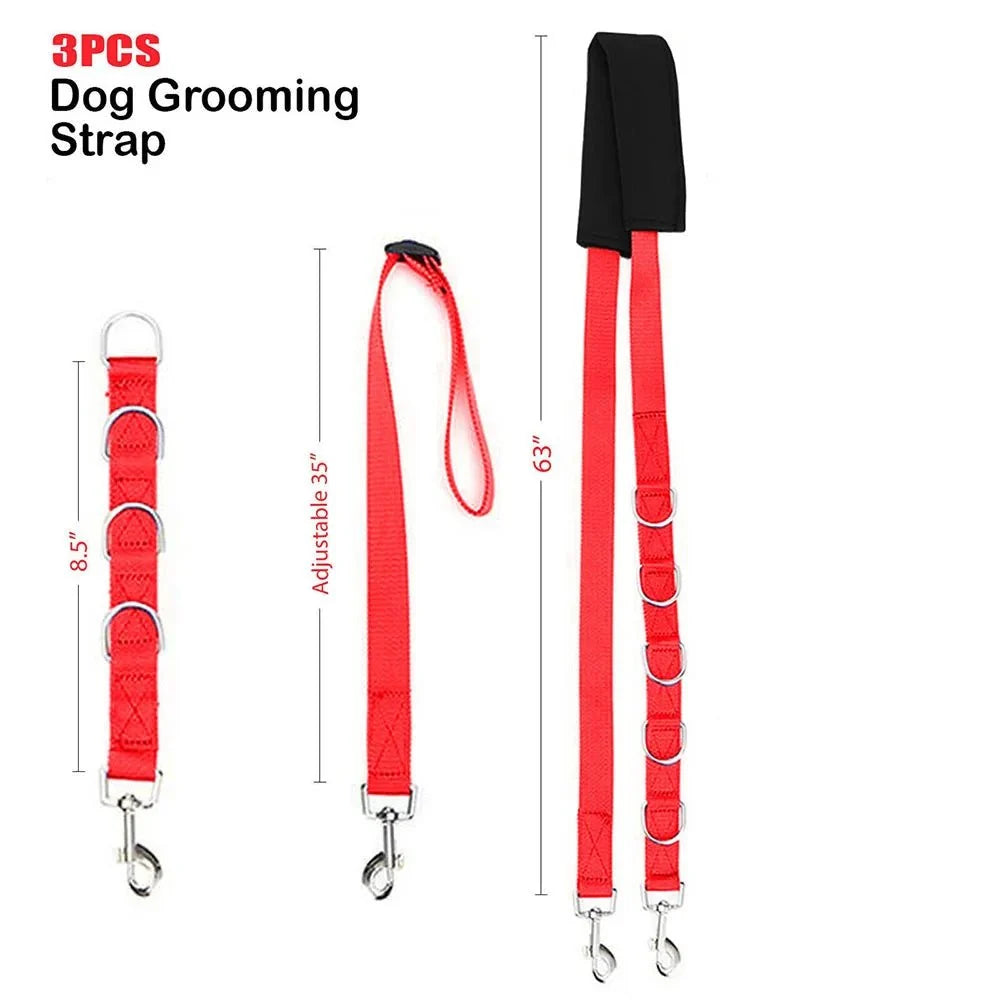 Portable Dog Grooming Restraint Set – TailShield™