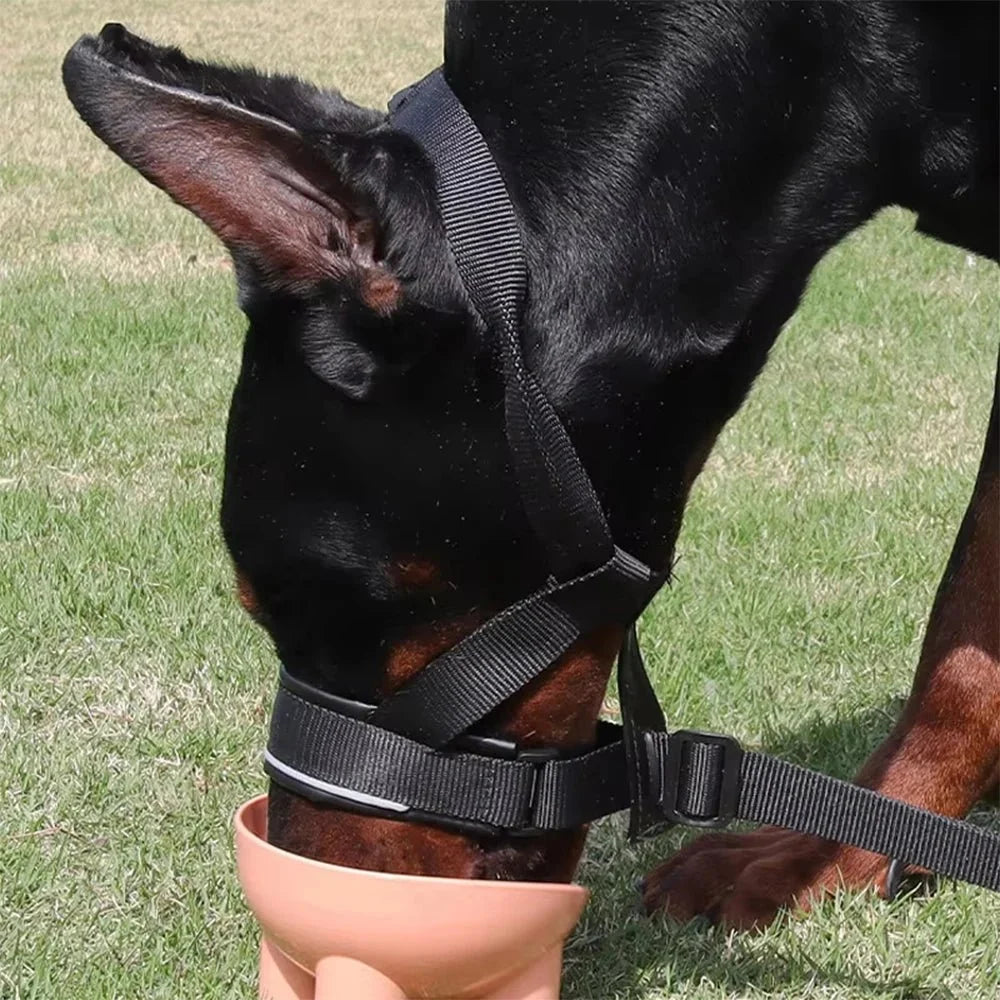Adjustable Dog Muzzle for Comfortable Outdoor Use – TrekQuest™