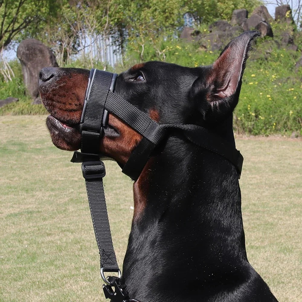 Adjustable Dog Muzzle for Comfortable Outdoor Use – TrekQuest™