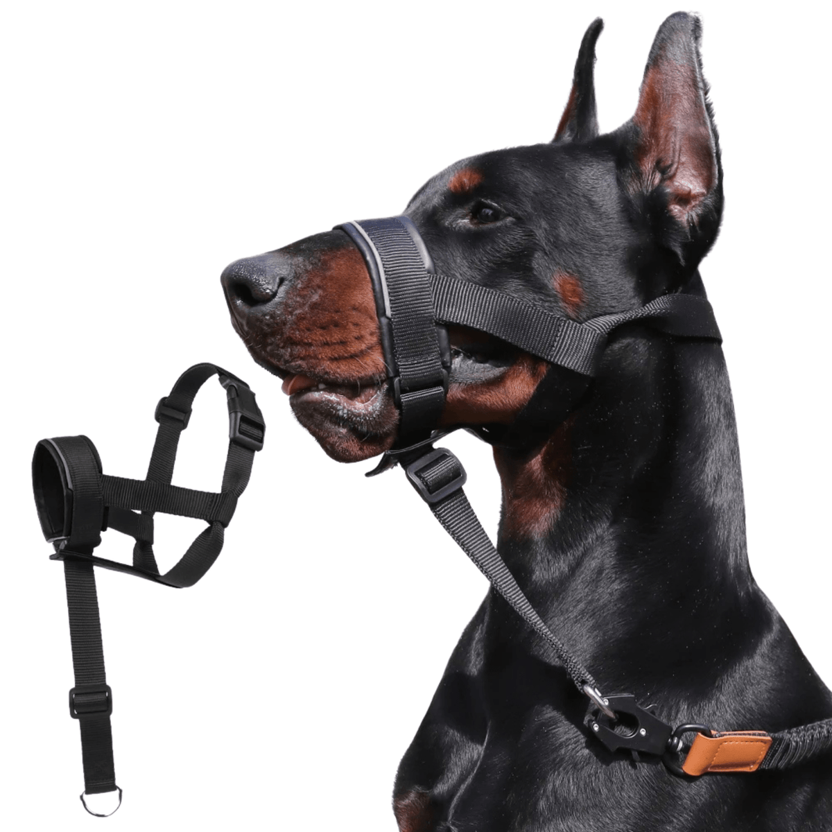 Adjustable Dog Muzzle for Comfortable Outdoor Use – TrekQuest™