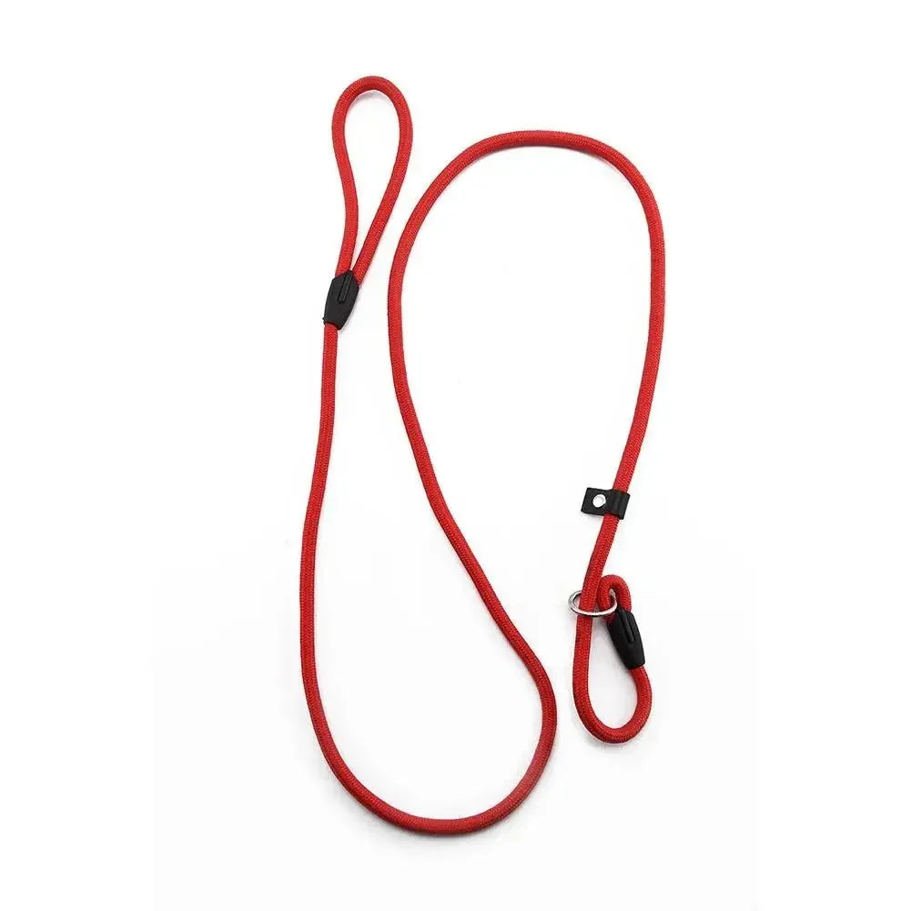 Adjustable Nylon Dog Slip Lead – FlexSmart™