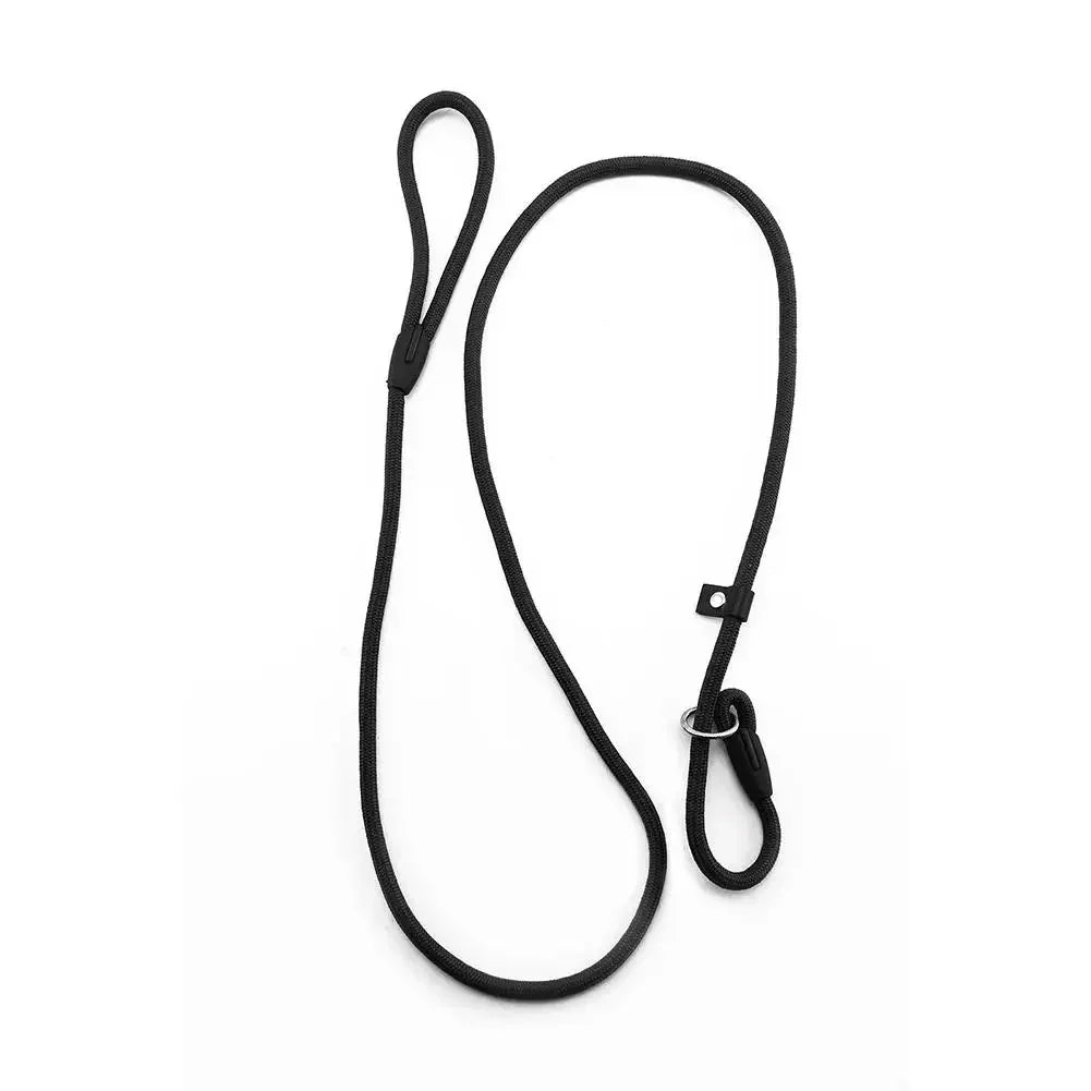 Adjustable Nylon Dog Slip Lead – FlexSmart™