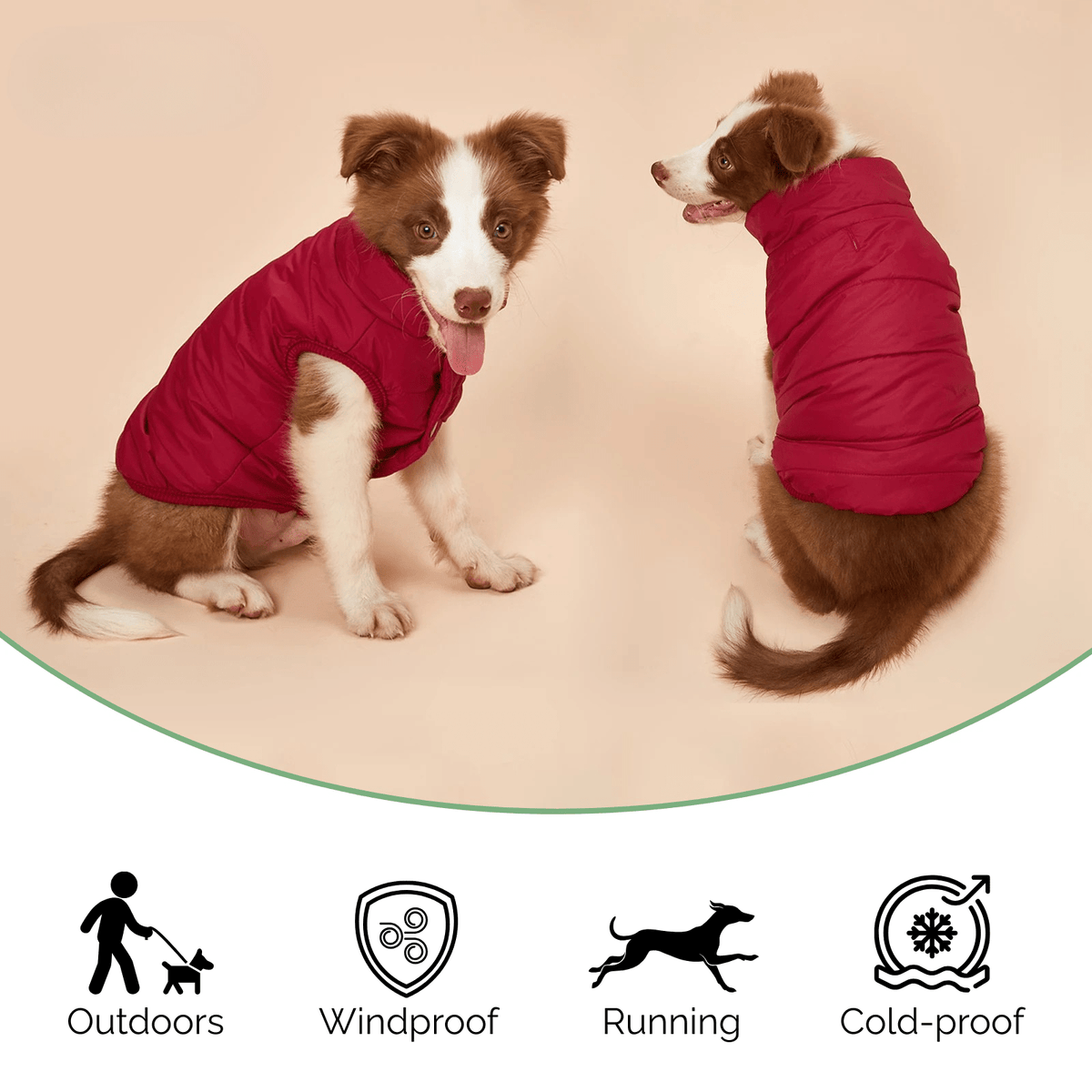 Warm Fleece Dog Winter Coat – RainPaws™
