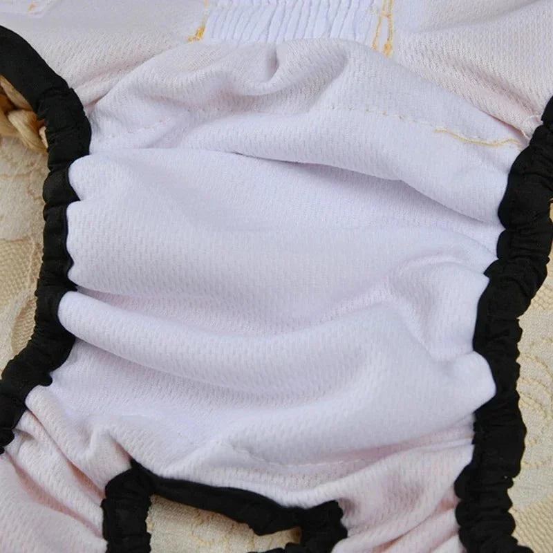 Reusable Washable Dog Diaper for Female Dogs – PetMate™
