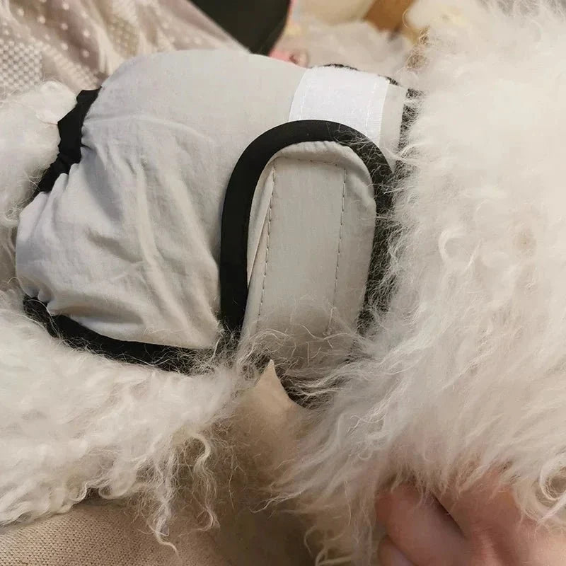 Reusable Washable Dog Diaper for Female Dogs – PetMate™