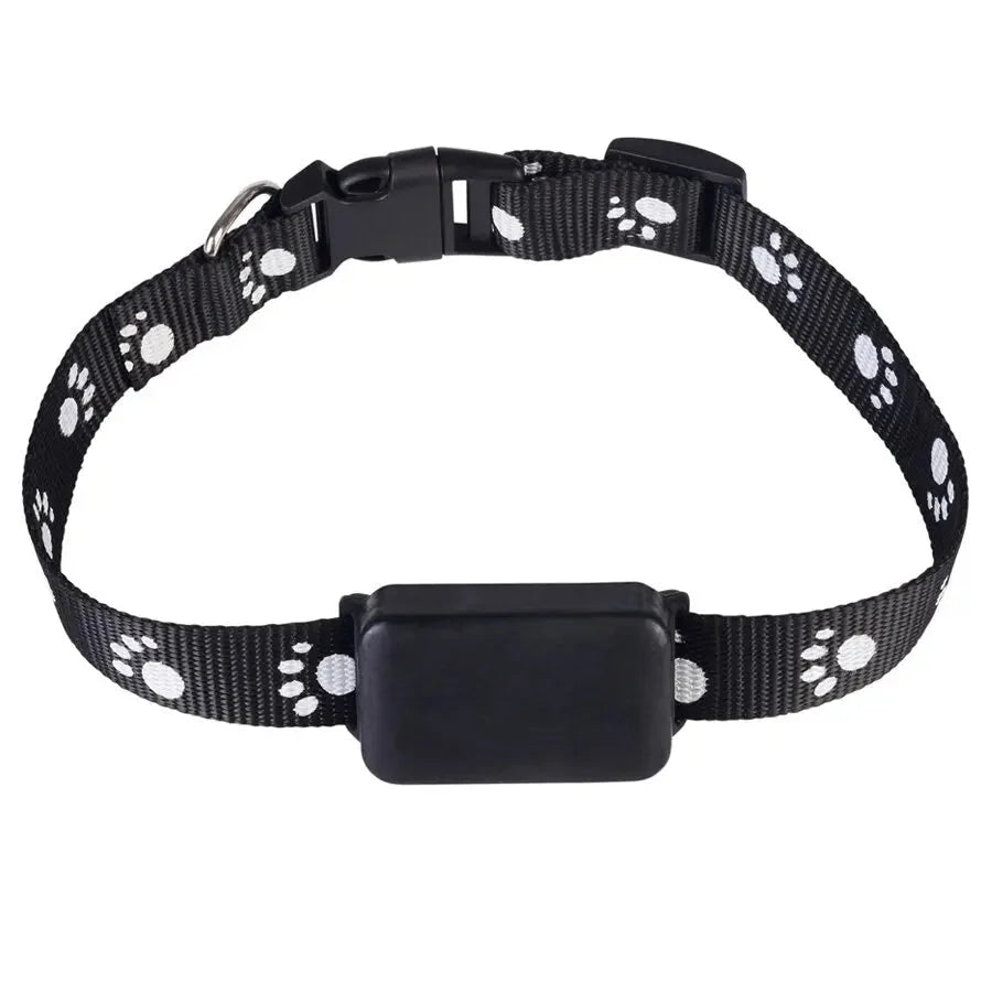 Waterproof iOS Pet Tracker with Reflective Collar – BeaconSense™