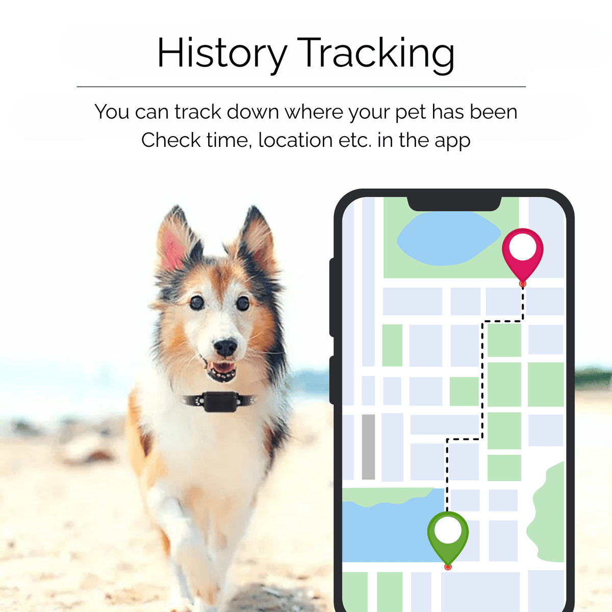 Waterproof iOS Pet Tracker with Reflective Collar – BeaconSense™