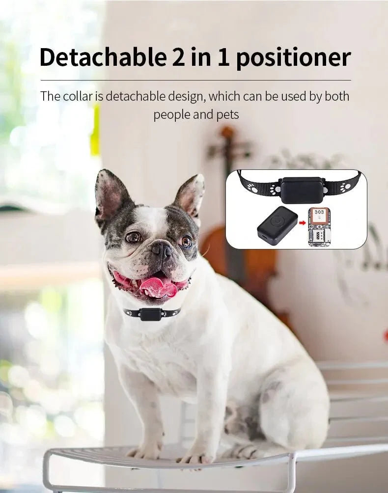 Waterproof iOS Pet Tracker with Reflective Collar – BeaconSense™