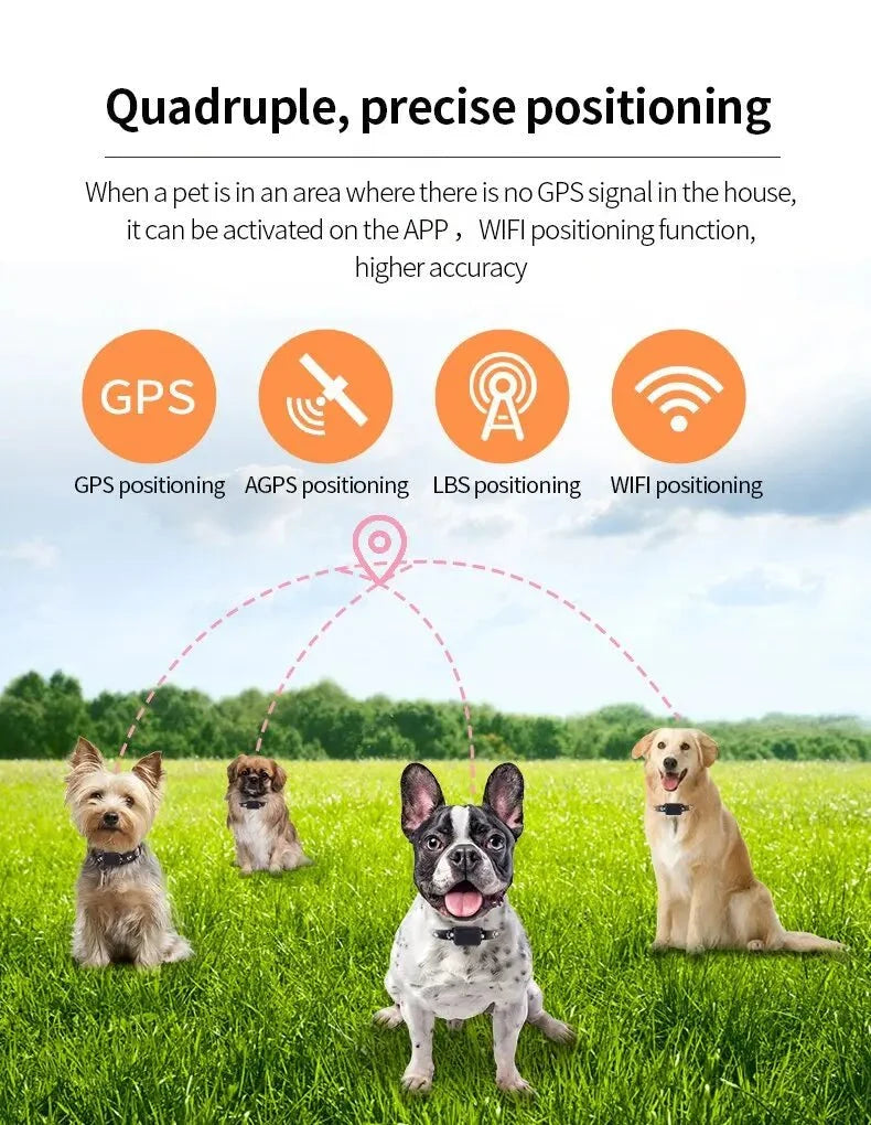Waterproof iOS Pet Tracker with Reflective Collar – BeaconSense™