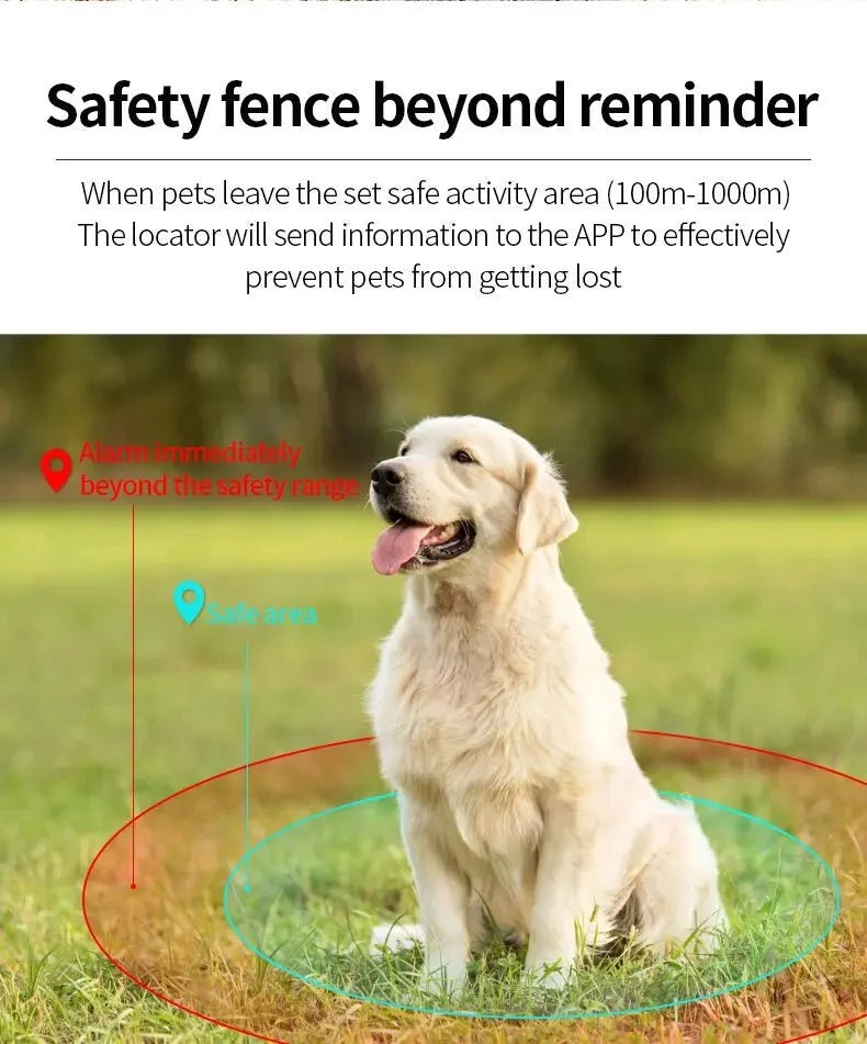 Waterproof iOS Pet Tracker with Reflective Collar – BeaconSense™