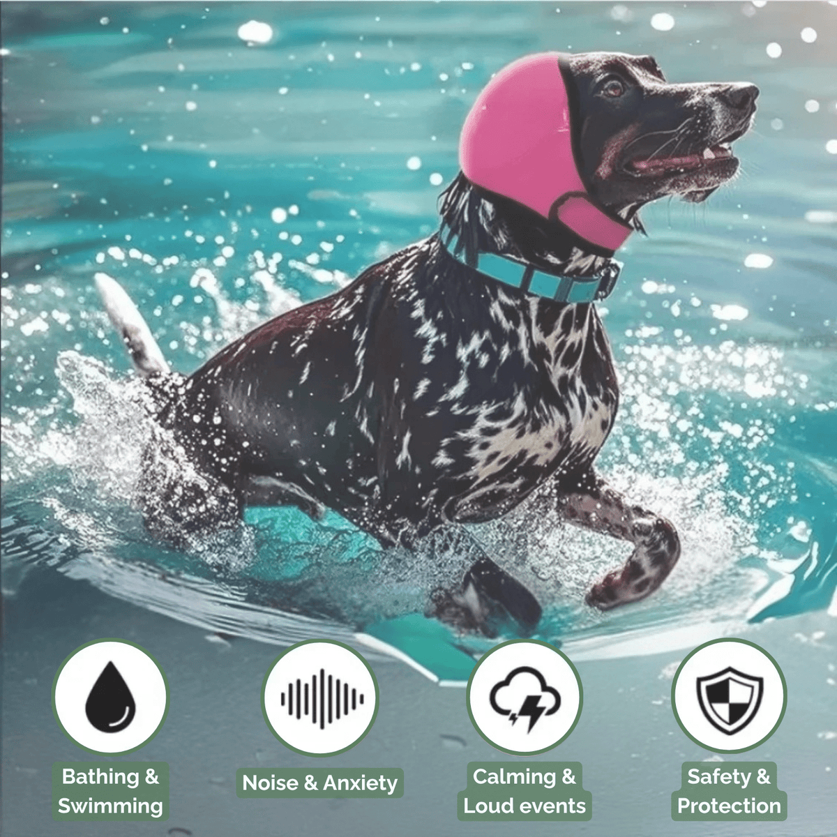 Waterproof Dog Ear Protectors – EverydayStyle™