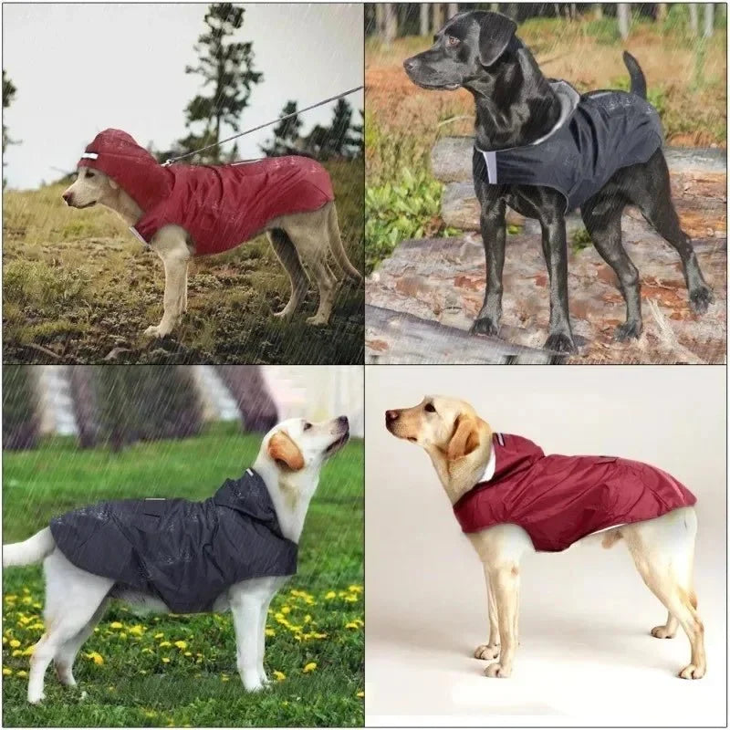 Lightweight Waterproof Dog Raincoat – LifeComfort™
