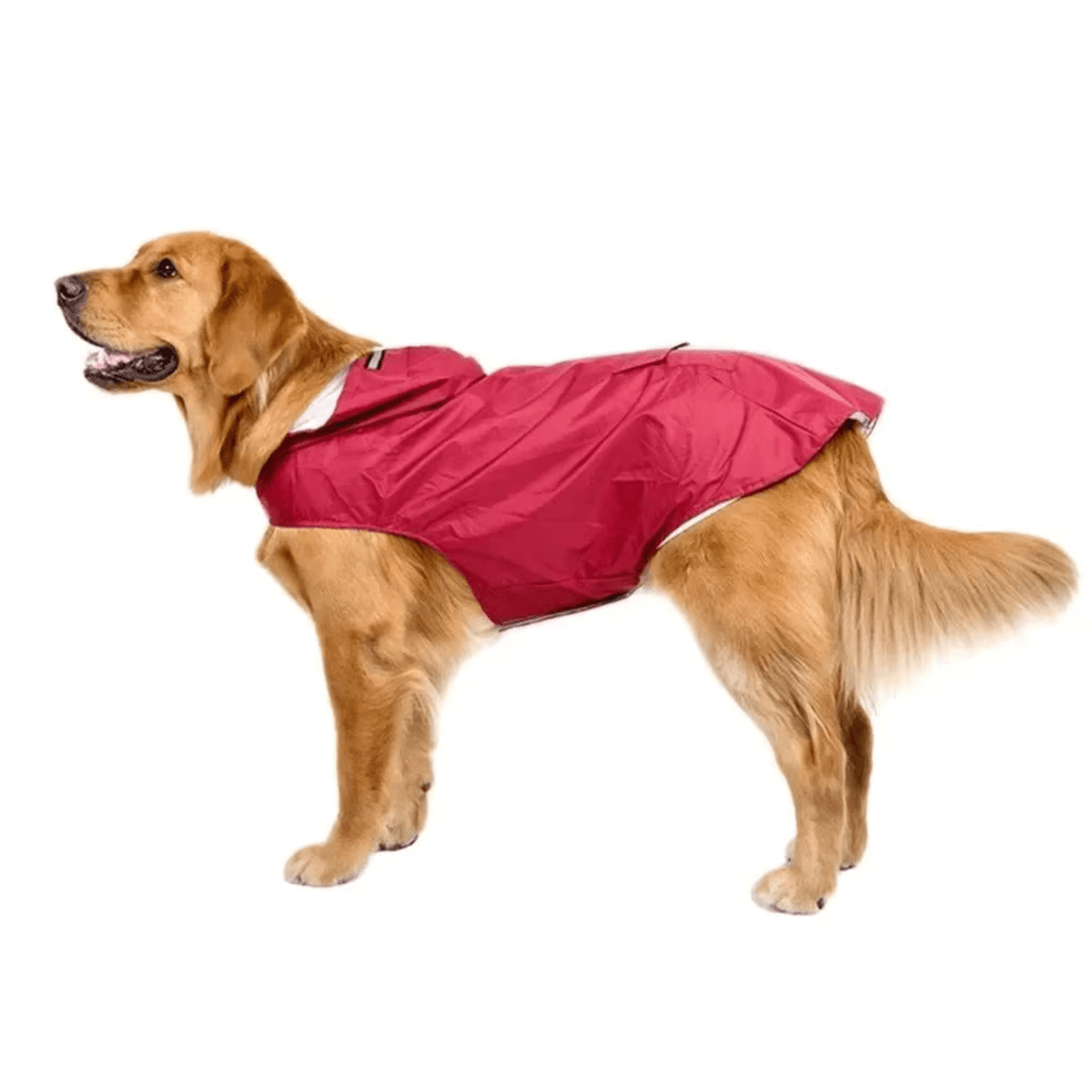 Lightweight Waterproof Dog Raincoat – LifeComfort™