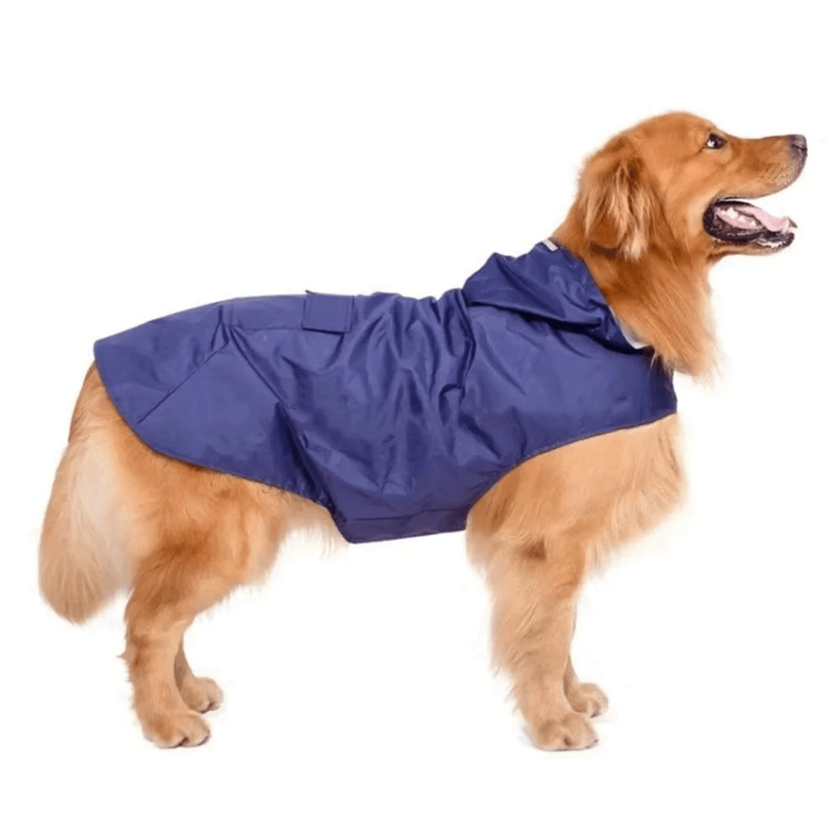 Lightweight Waterproof Dog Raincoat – LifeComfort™