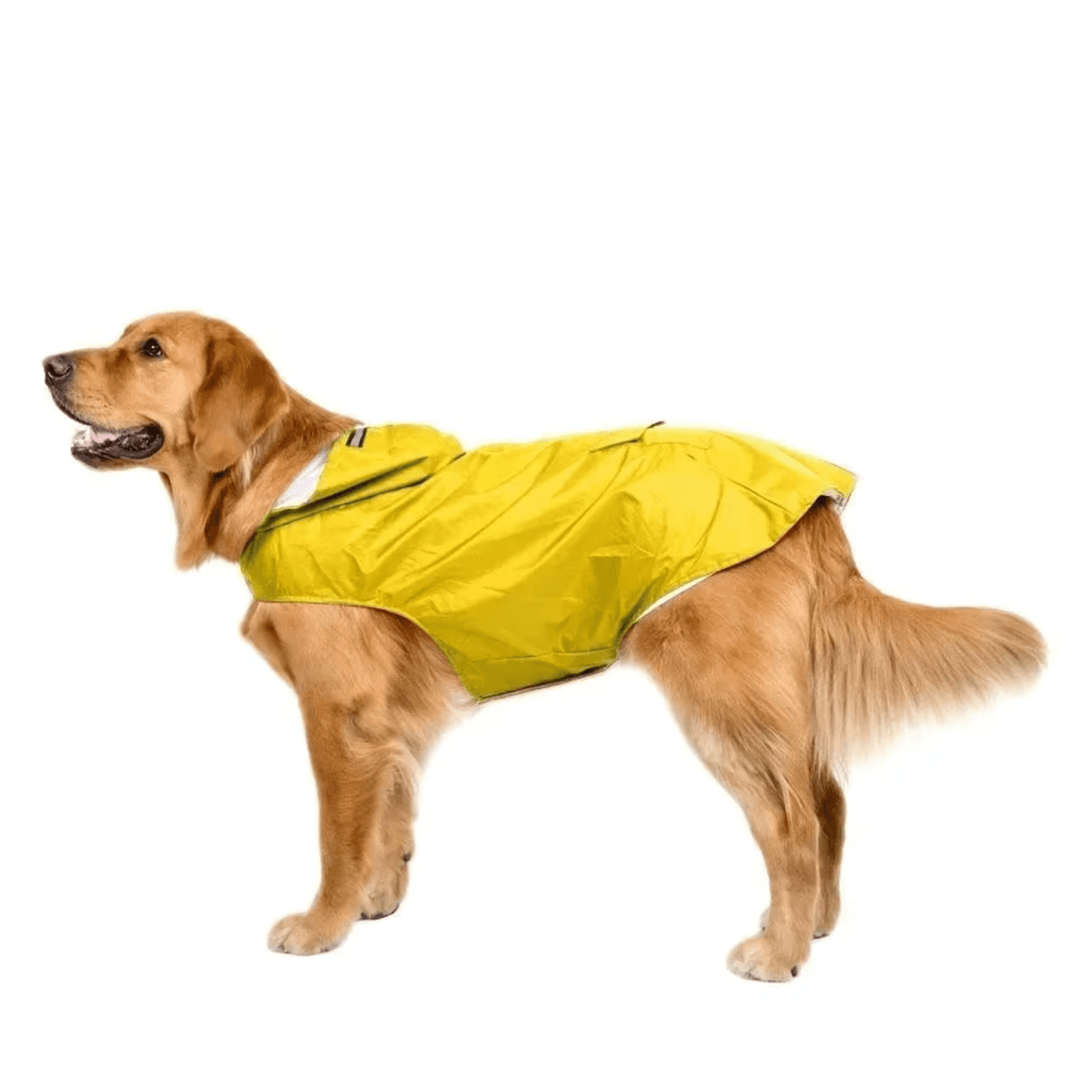 Lightweight Waterproof Dog Raincoat – LifeComfort™