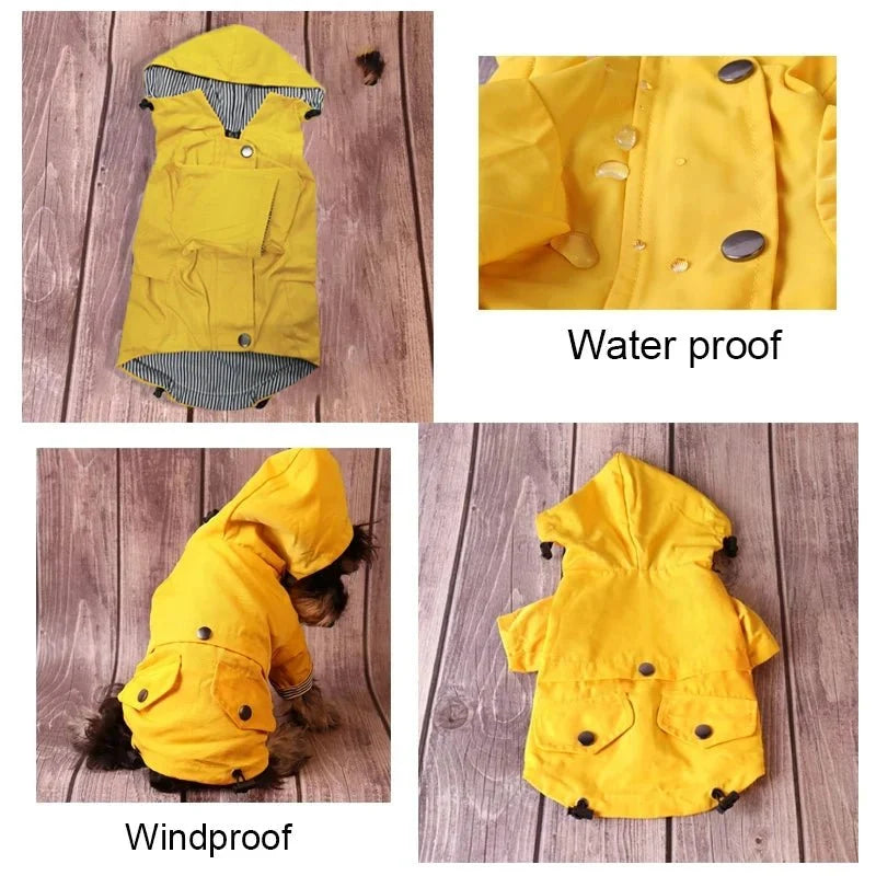 Waterproof Dog Raincoat – CloudStyle™