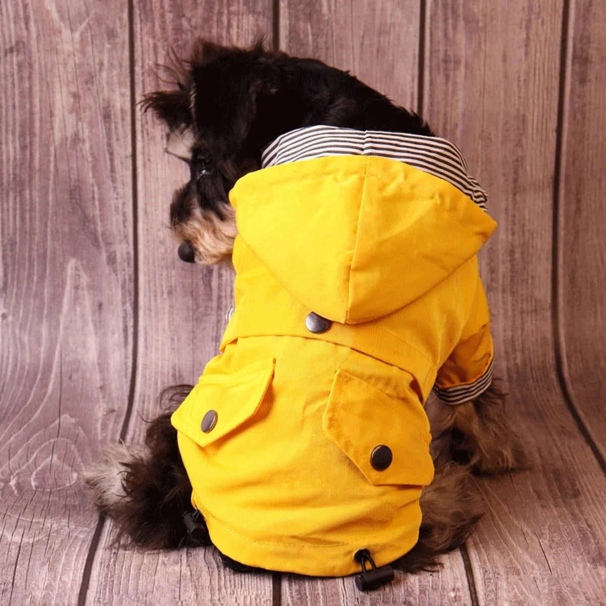 Waterproof Dog Raincoat – CloudStyle™