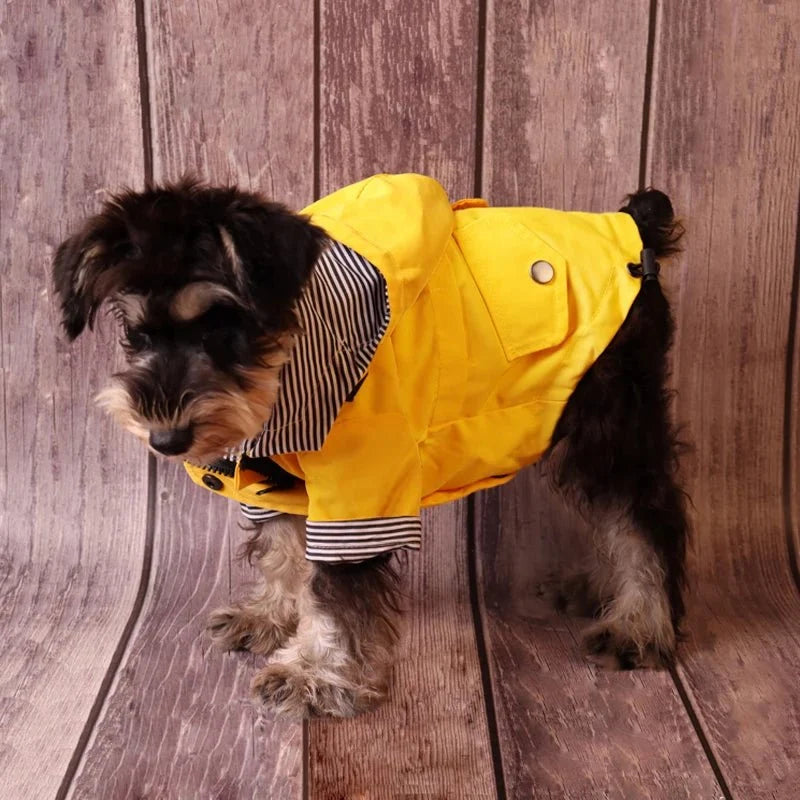 Waterproof Dog Raincoat – CloudStyle™