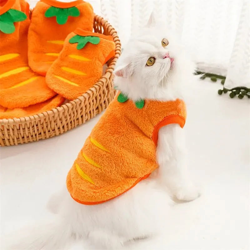 Carrot Pet Costume for Dogs & Cats – ShieldQuest™
