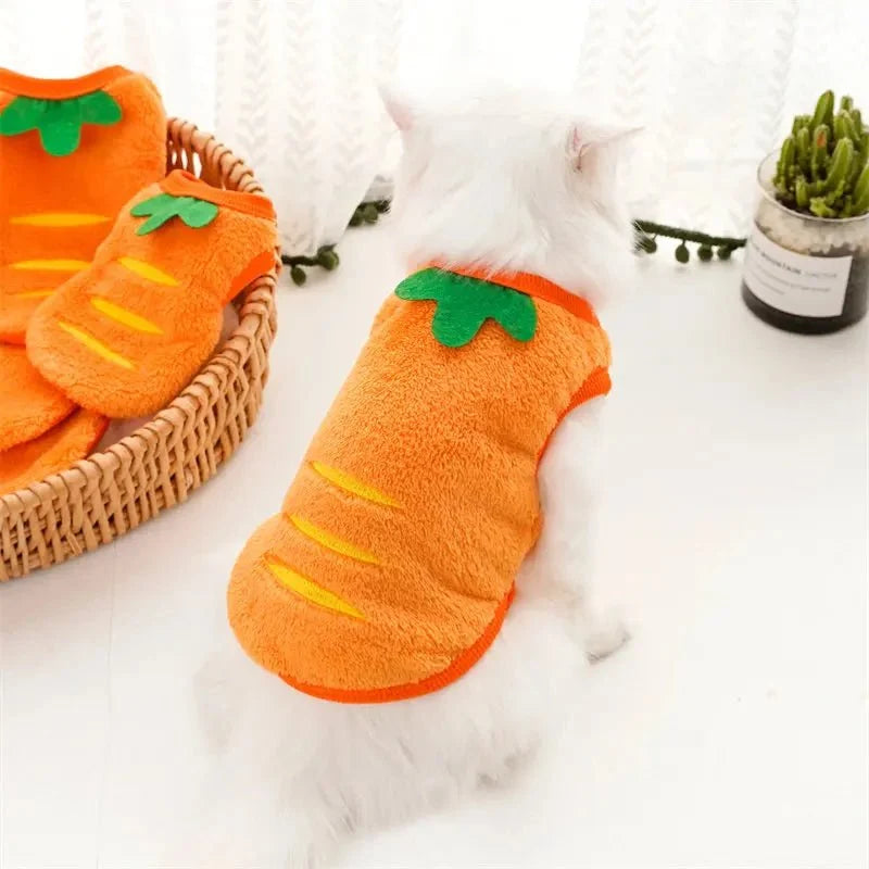 Carrot Pet Costume for Dogs & Cats – ShieldQuest™