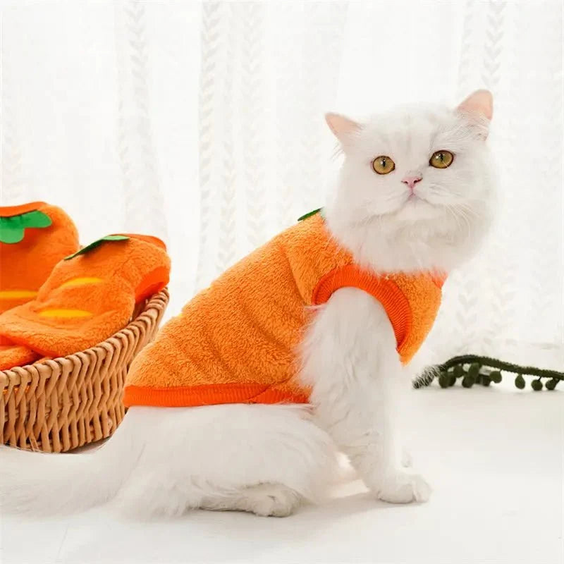 Carrot Pet Costume for Dogs & Cats – ShieldQuest™