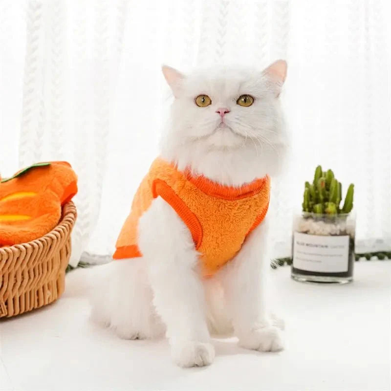 Carrot Pet Costume for Dogs & Cats – ShieldQuest™