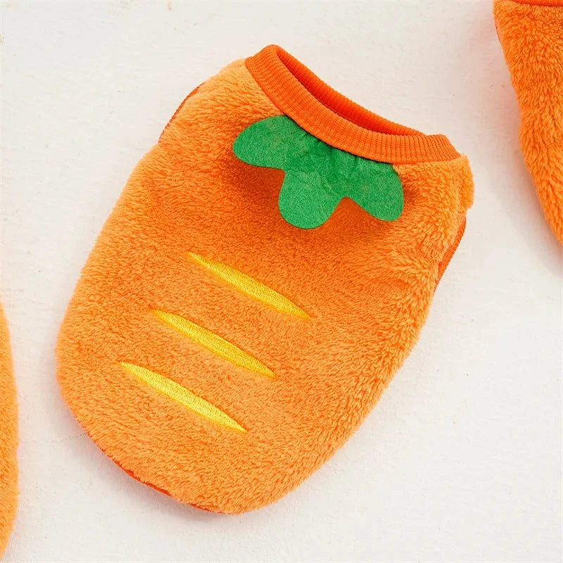 Carrot Pet Costume for Dogs & Cats – ShieldQuest™
