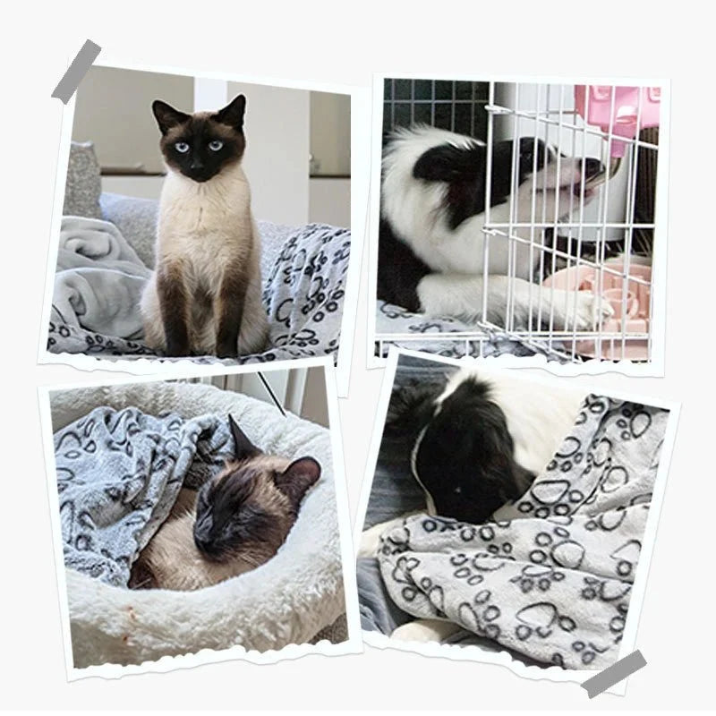 Soft Coral Fleece Pet Blanket – LoungeSmart™