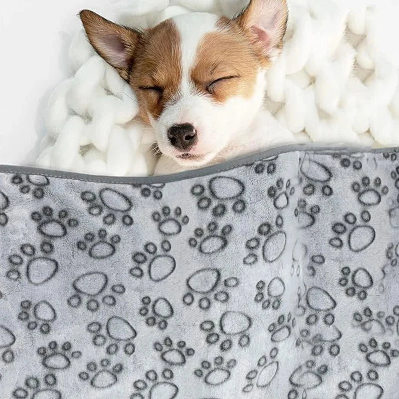 Soft Coral Fleece Pet Blanket – LoungeSmart™