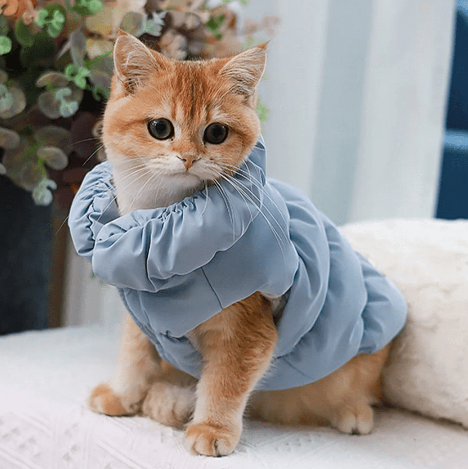 Warm Winter Dog & Cat Coat – WarmTrail™