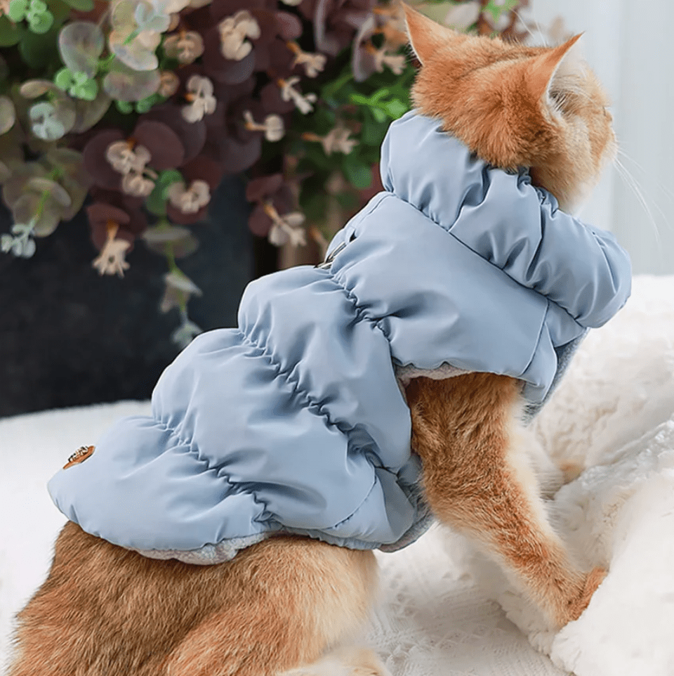 Warm Winter Dog & Cat Coat – WarmTrail™