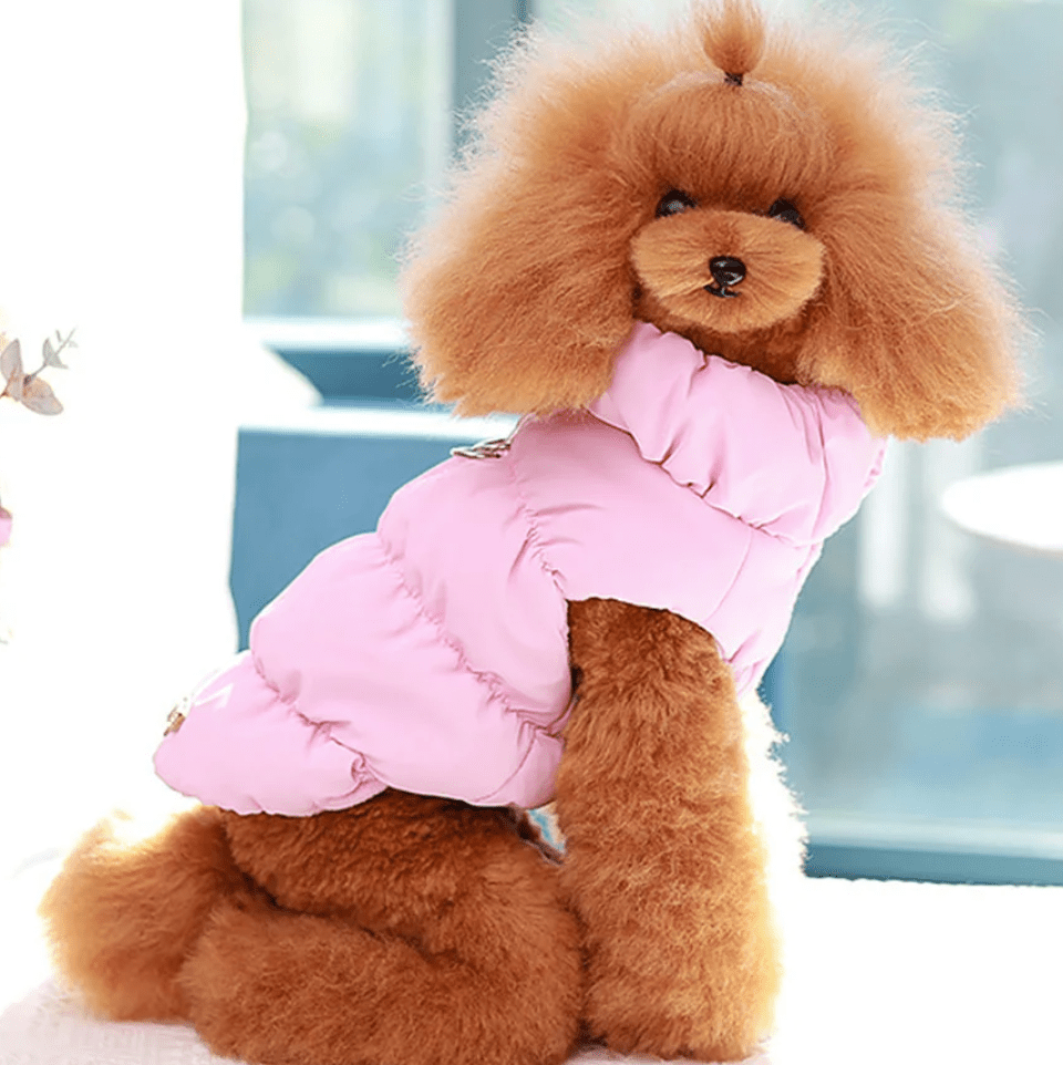 Warm Winter Dog & Cat Coat – WarmTrail™