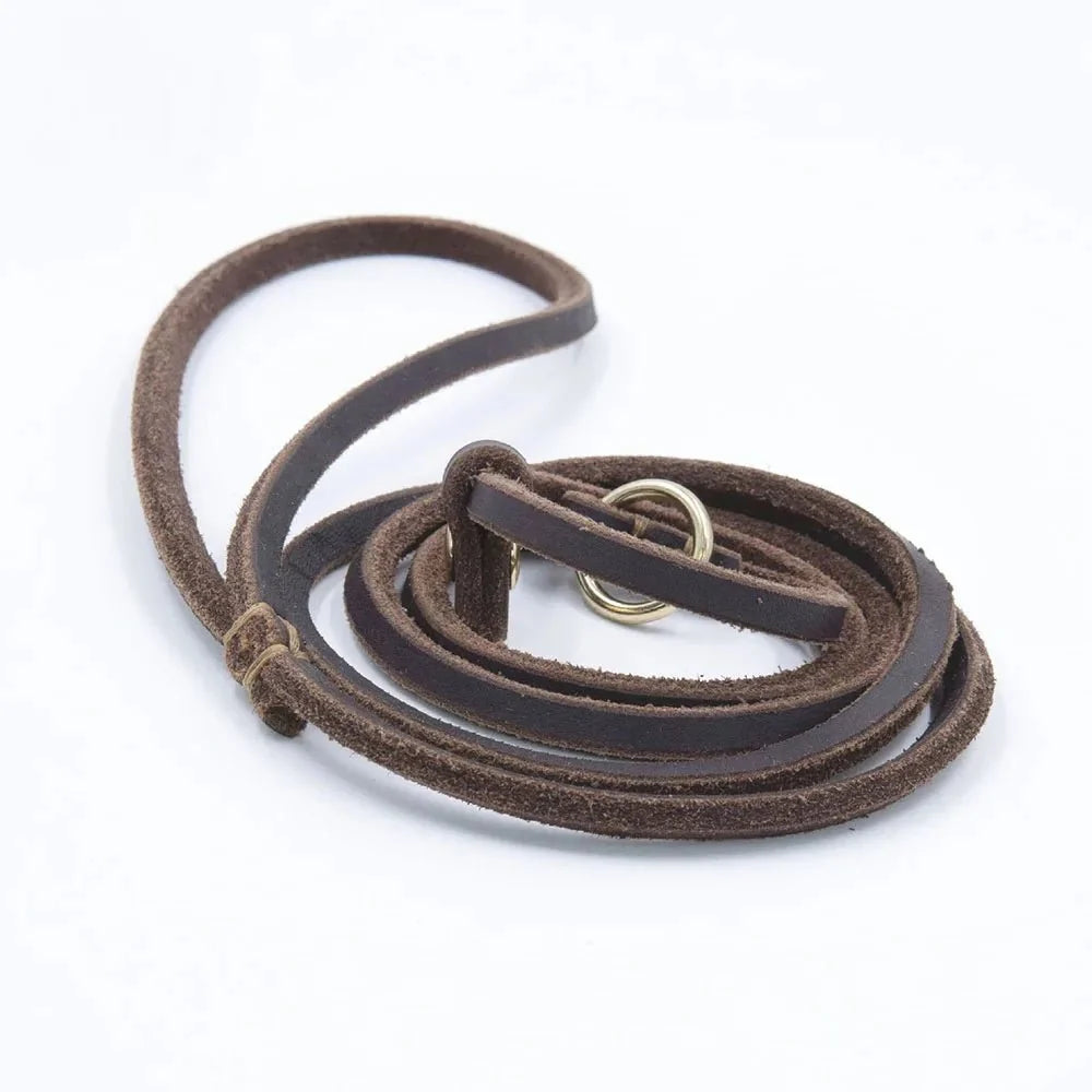 Soft Leather Slip Lead for Dogs – LeadElite™