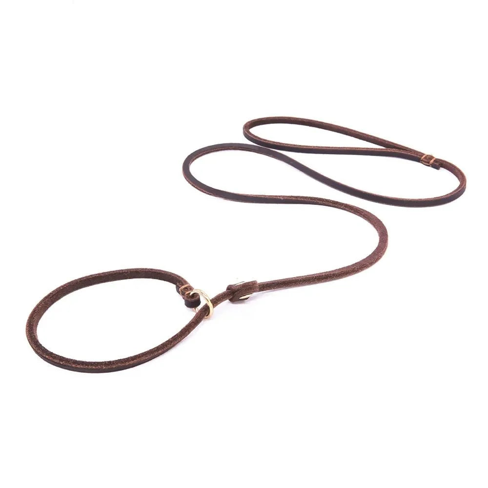 Soft Leather Slip Lead for Dogs – LeadElite™
