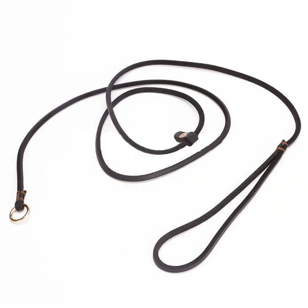 Soft Leather Slip Lead for Dogs – LeadElite™