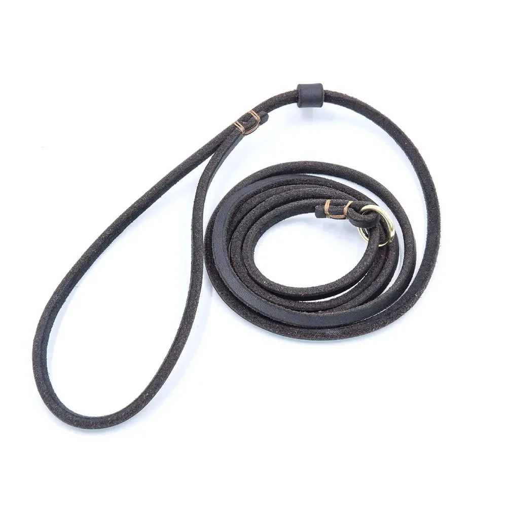 Soft Leather Slip Lead for Dogs – LeadElite™