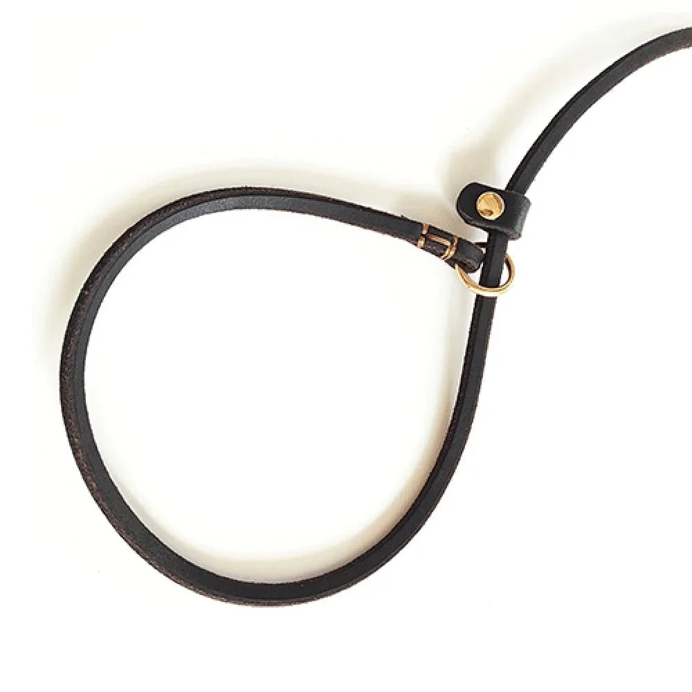 Soft Leather Slip Lead for Dogs – LeadElite™