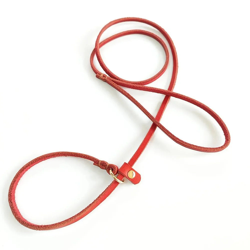 Soft Leather Slip Lead for Dogs – LeadElite™