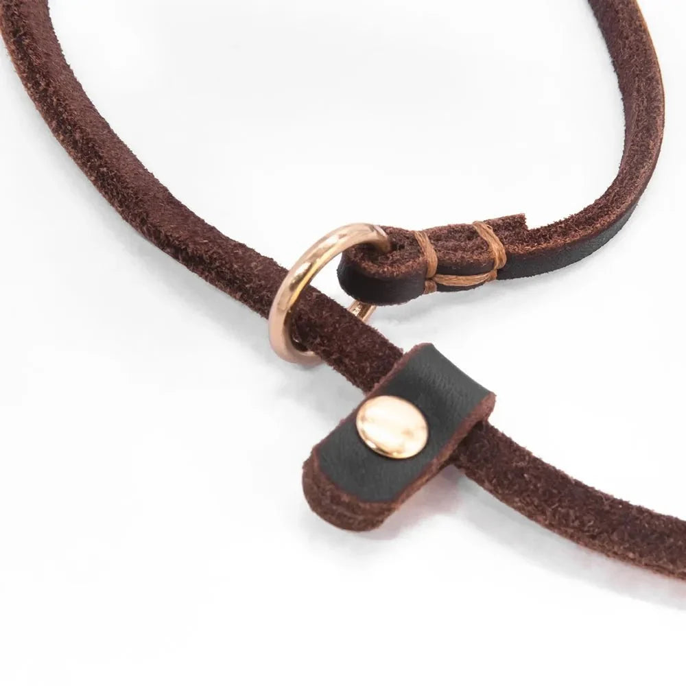 Soft Leather Slip Lead for Dogs – LeadElite™