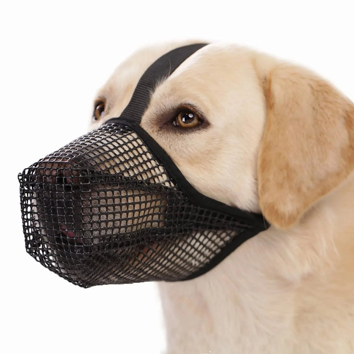 Soft Mesh Dog Muzzle – HoldFlow™