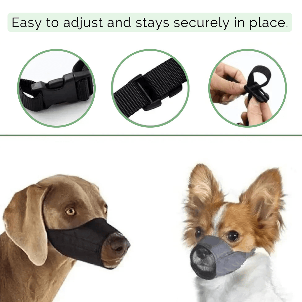 Adjustable Nylon Dog Muzzle – LeadLuxe™