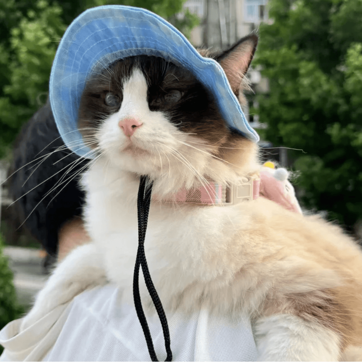 Adjustable Sun Hat for Dogs & Cats – FrostJoy™