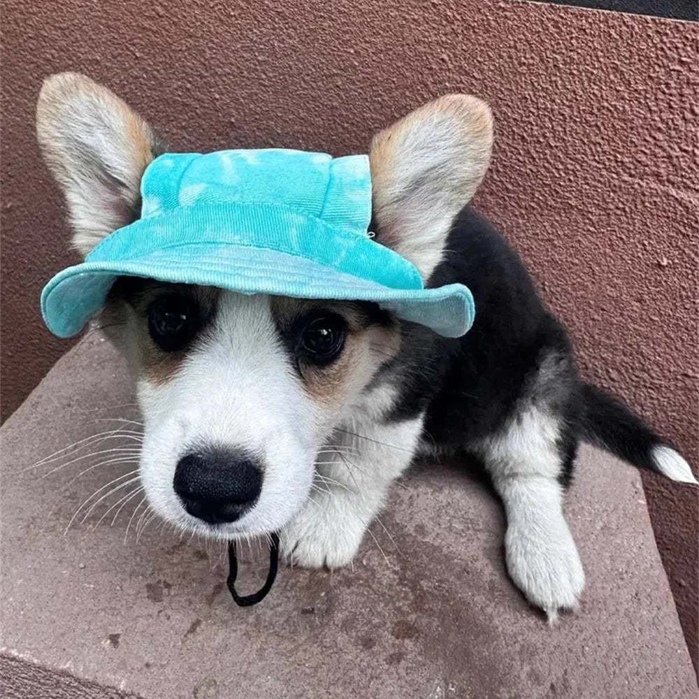 Adjustable Sun Hat for Dogs & Cats – FrostJoy™