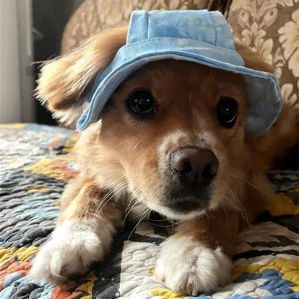 Adjustable Sun Hat for Dogs & Cats – FrostJoy™